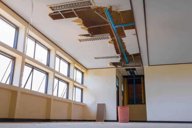 Best Water damage contractors near me  in Batesville, MS