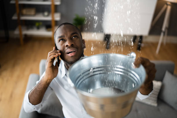 Best Flooded house restoration  in Batesville, MS