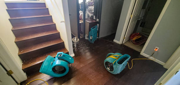 Best Water damage cleanup near me  in Batesville, MS