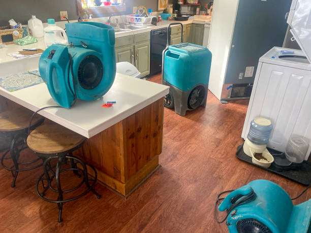 Best Water damage restoration near me  in Batesville, MS