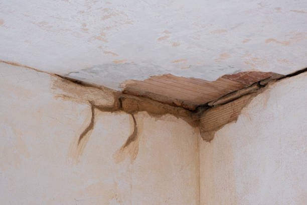 Best Sewage cleanup and water damage restoration  in Batesville, MS