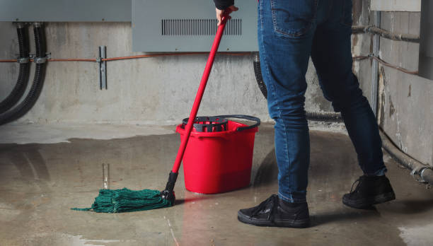 Best Flood damage cleanup  in Batesville, MS