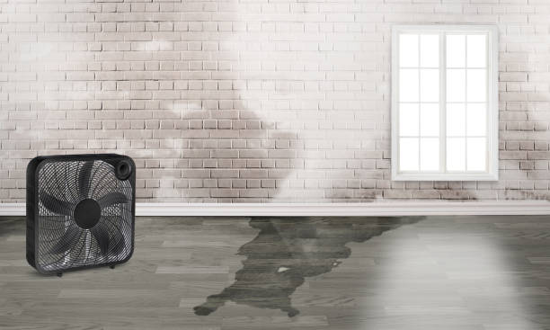 Best Commercial water damage restoration  in Batesville, MS
