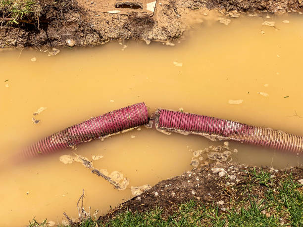 Best 24-hour water damage restoration  in Batesville, MS