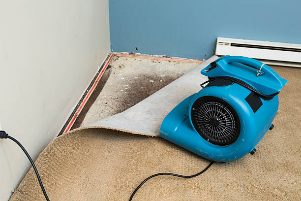 Best Local water damage restoration  in Batesville, MS